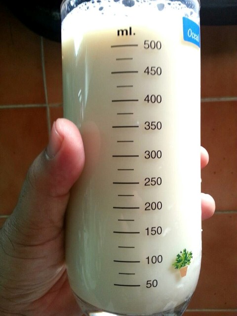 นมถั่วเหลือง เพื่อสุขภาพ (Soy Milk)